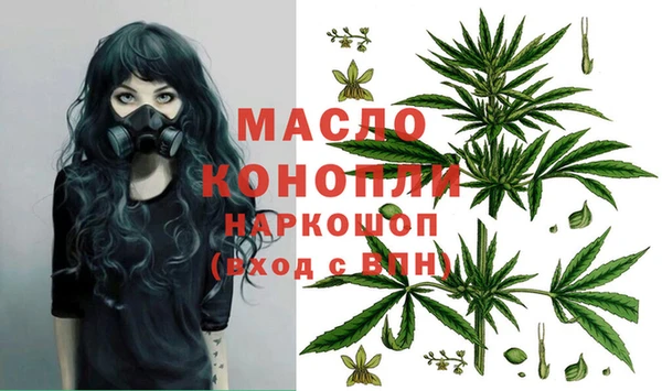 трава Ельня