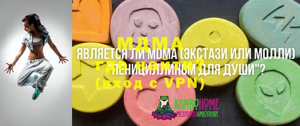 индика Алексин