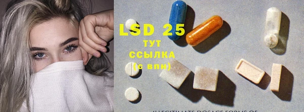 индика Алексин